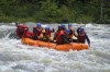 Thumbs/tn_Img_4973.jpg