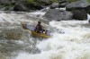Thumbs/tn_Img_5130.jpg
