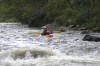 Thumbs/tn_Img_5153.jpg