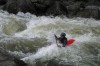Thumbs/tn_Img_5175.jpg