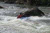 Thumbs/tn_Img_5196.jpg