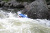 Thumbs/tn_Img_5202.jpg