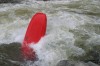 Thumbs/tn_Img_5220.jpg