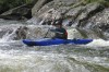 Thumbs/tn_Img_5274.jpg