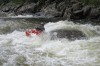 Thumbs/tn_Img_5280.jpg