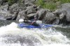 Thumbs/tn_Img_5289.jpg