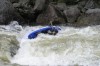Thumbs/tn_Img_5297.jpg