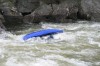 Thumbs/tn_Img_5302.jpg