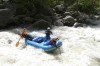 Thumbs/tn_Img_5407.jpg