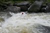 Thumbs/tn_Img_5717.jpg