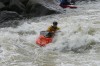 Thumbs/tn_Img_5746.jpg