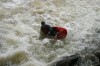 Thumbs/tn_Img_5821.jpg