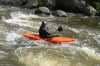 Thumbs/tn_Img_5830.jpg