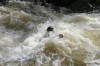 Thumbs/tn_Img_5845.jpg