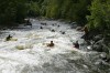Thumbs/tn_Img_5849.jpg