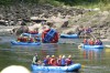 Thumbs/tn_Img_5857.jpg