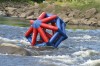 Thumbs/tn_Img_5871.jpg