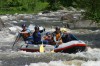 Thumbs/tn_Img_3350.jpg