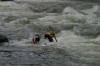 Thumbs/tn_Img_3528.jpg