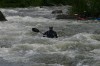 Thumbs/tn_Img_3545.jpg