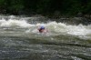 Thumbs/tn_Img_3590.jpg
