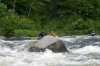 Thumbs/tn_Img_3593.jpg