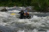 Thumbs/tn_Img_3601.jpg