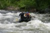 Thumbs/tn_Img_3604.jpg