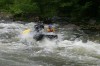 Thumbs/tn_Img_3606.jpg