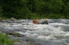 Thumbs/tn_Img_3622.jpg