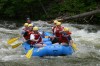 Thumbs/tn_Img_3653.jpg