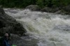 Thumbs/tn_Img_3683.jpg