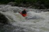 Thumbs/tn_Img_3687.jpg