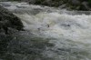 Thumbs/tn_Img_3756.jpg