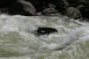 Thumbs/tn_Img_4103.jpg