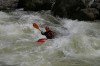 Thumbs/tn_Img_4137.jpg