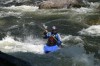 Thumbs/tn_Img_4195.jpg