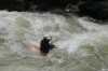 Thumbs/tn_Img_4755.jpg
