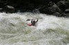 Thumbs/tn_Img_4770.jpg