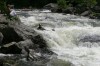 Thumbs/tn_Img_4776.jpg