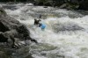 Thumbs/tn_Img_4778.jpg