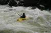 Thumbs/tn_Img_4803.jpg