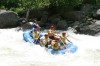Thumbs/tn_Img_4815.jpg