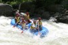 Thumbs/tn_Img_4817.jpg