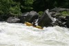 Thumbs/tn_Img_4869.jpg