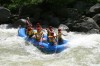 Thumbs/tn_Img_4912.jpg