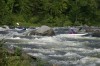 Thumbs/tn_Img_7294.jpg