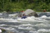 Thumbs/tn_Img_7353.jpg