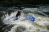 Thumbs/tn_Img_7361.jpg