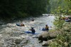 Thumbs/tn_Img_7388.jpg